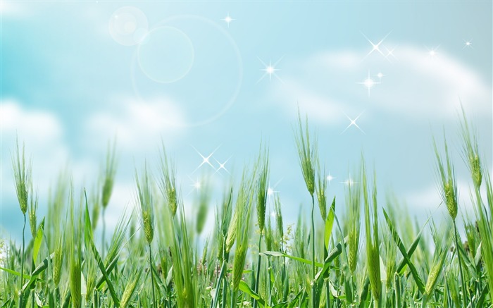 Asadal 판타지 아트 디자인 - 낭만적 인 필드 찾아보기 :15080