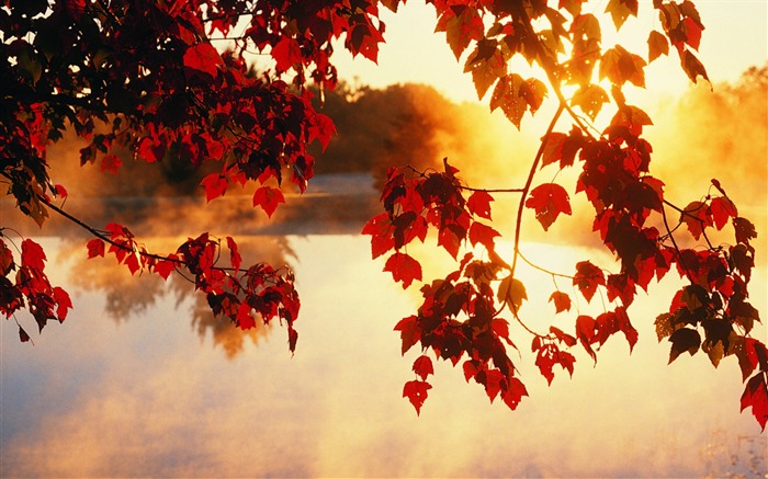 Autumn pleasant - Autumn Landscape wallpaper Views:64452