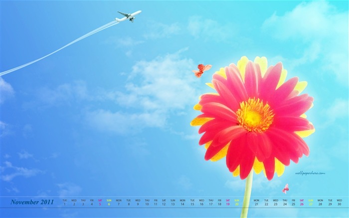 Flower-November 2011 - Calendar Desktop Wallpapers Views:10857 Date:2011/10/29 23:07:16
