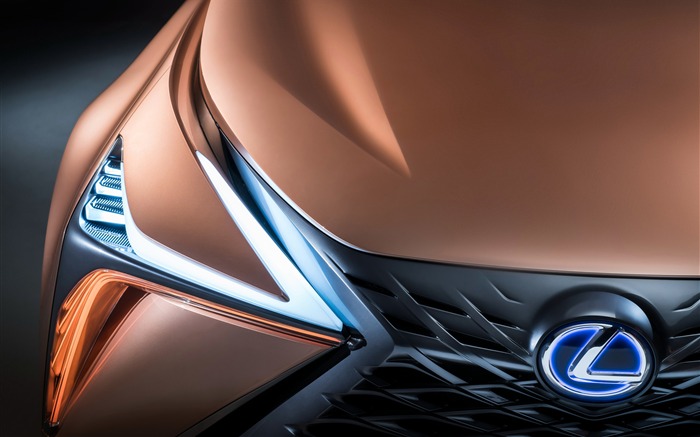 雷克萨斯，LF-1，无限，概念，前标志 浏览:7935