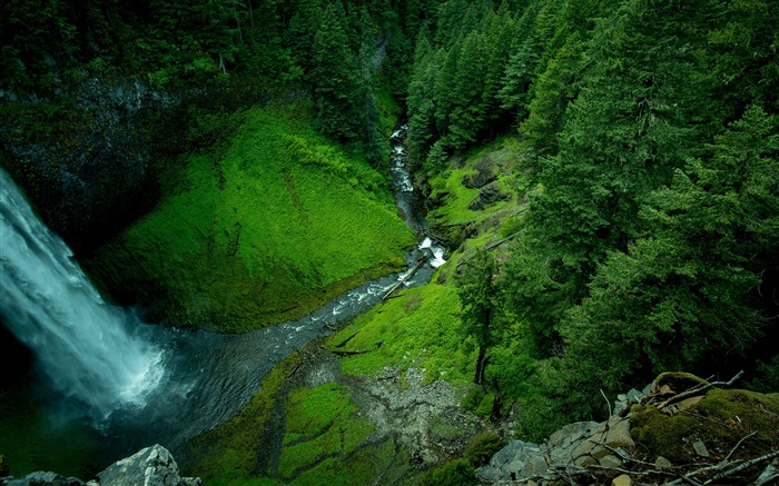 春天，丛林，谷，瀑布，4K，超高清 浏览:17149