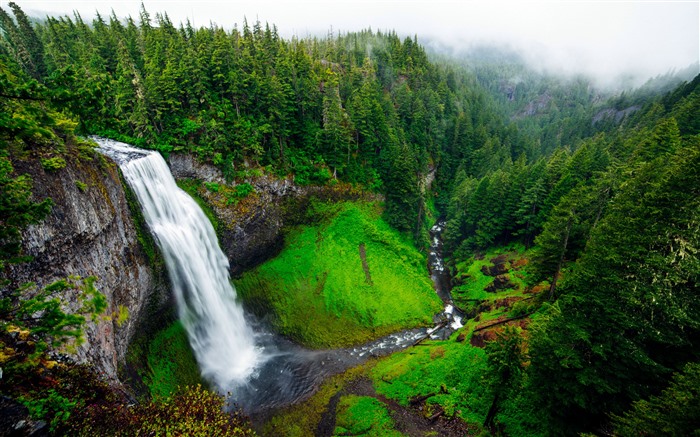 Tropical Woods Waterfall 2022 Spring Mist 5K Photo Views:7220 Date:2022/4/7 19:30:35